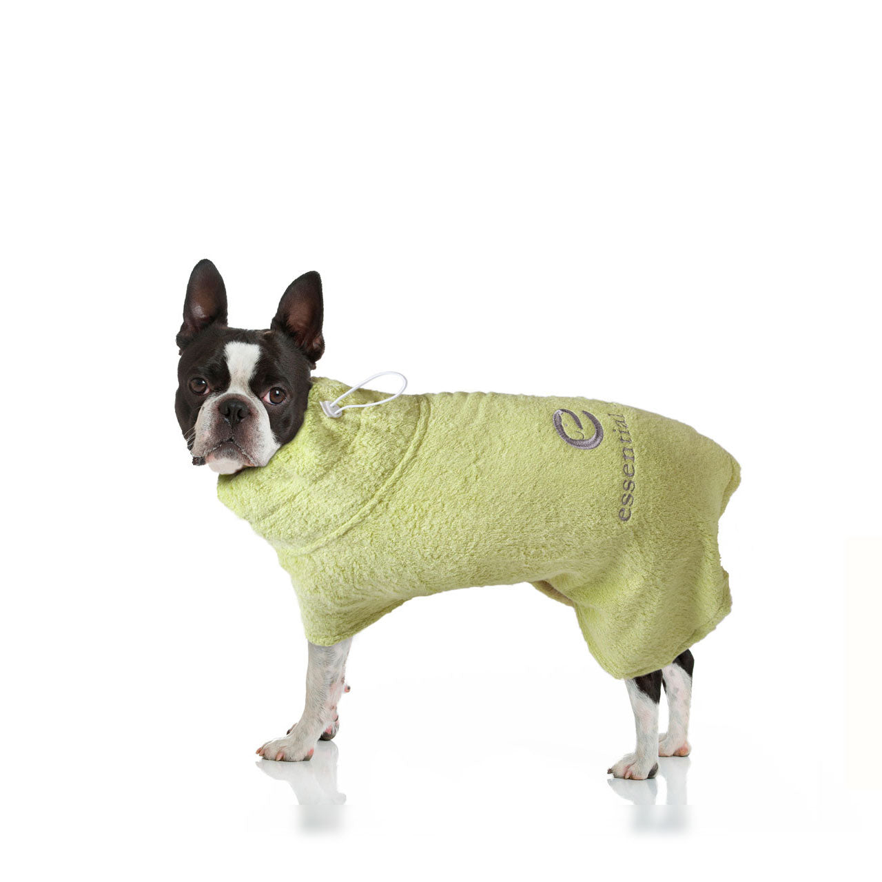 Organic Bamboo Dog Bathrobe (XS - XL) LIMITED EDITION-4