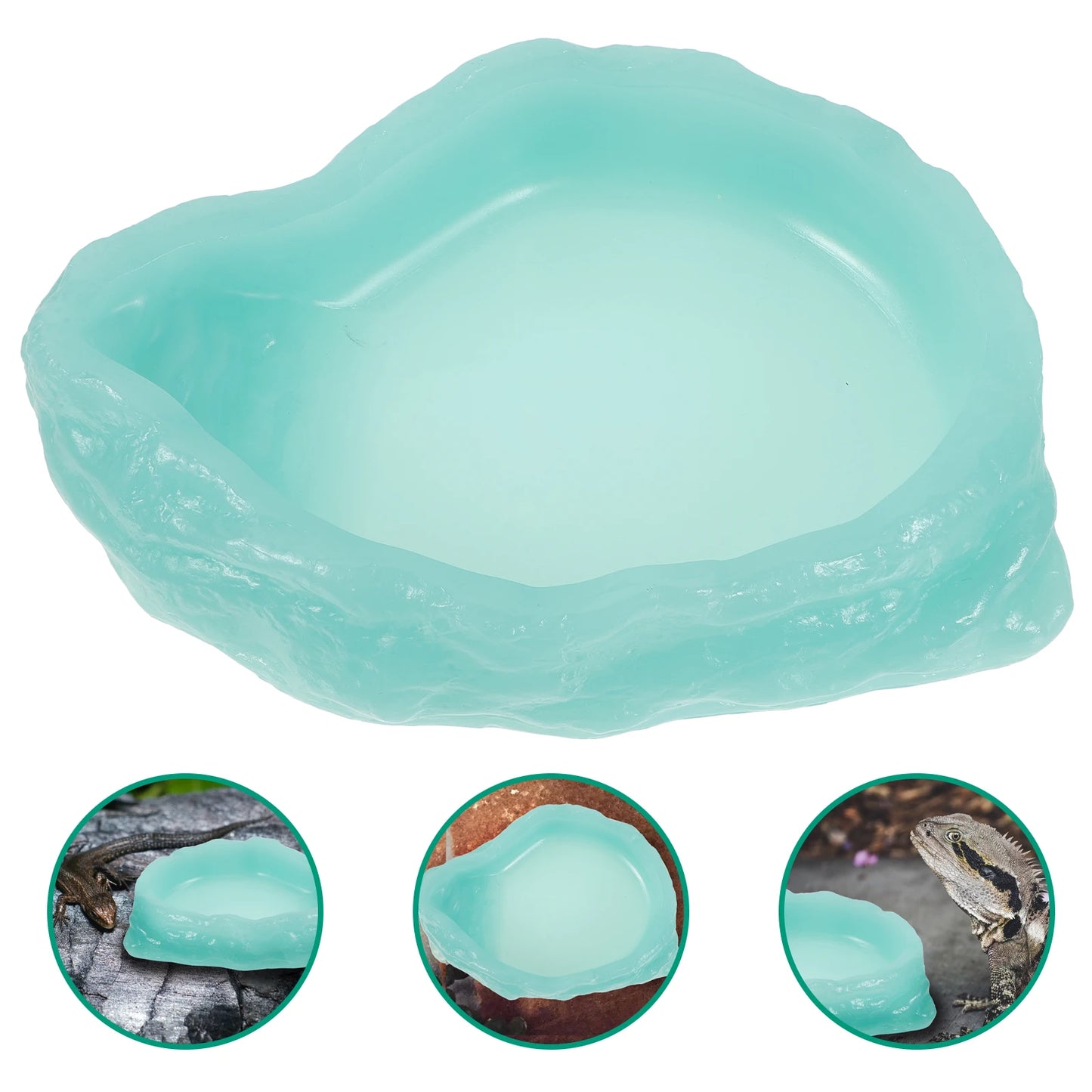 Glow in the Dark Reptile Water Bowl Feeding Dish for Lizards Turtles Small Animals Light Green Non Slip Terrarium Supplies Pet