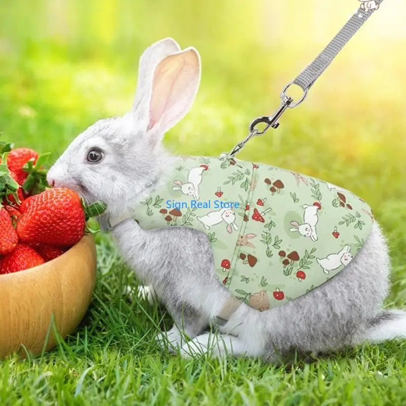 Pet Harness Vest with Leash Outdoor Rabbits Harness Easy Control Adjustable Traction Set Training Gear for Small Animal 41XB