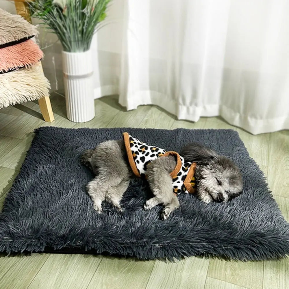 Pet Products Soft Dog Plush Winter Blanket Non-slip Velvet Warm Cat Blanket Waterproof Comfortable Puppy Sleep Mat Winter