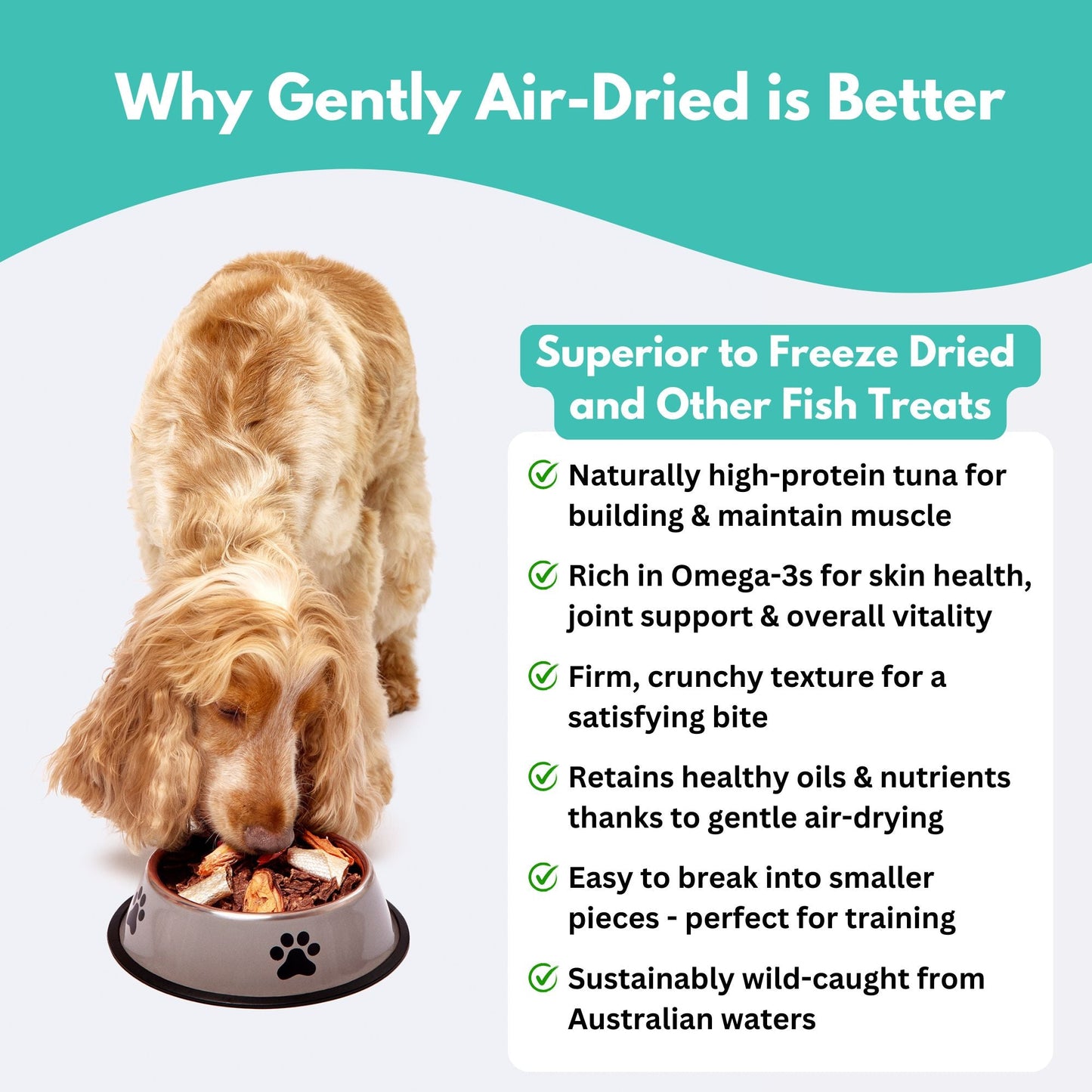 Wild-Caught Tuna Fillet Dog Treats-4