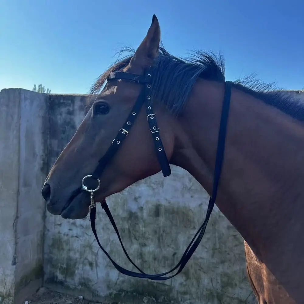 Thickened Horse Halters Comfortable Adjustable Strap Horse Neck Stretcher Durable Heavy Duty Horse Bridle Training Rope