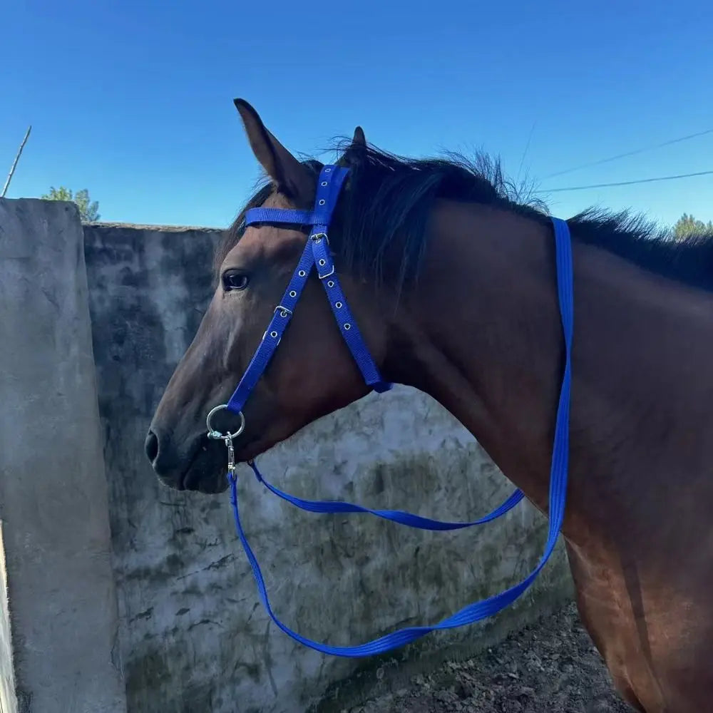 Thickened Horse Halters Comfortable Adjustable Strap Horse Neck Stretcher Durable Heavy Duty Horse Bridle Training Rope