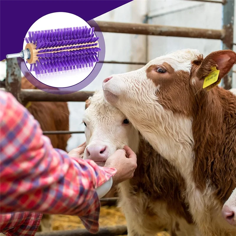 M11K-2 Pcs Livestock Mini Drill Scratch Brush Purple Brush Grooming Kit Suitable For Cattle, Cows, Horses, Sheep And Pigs