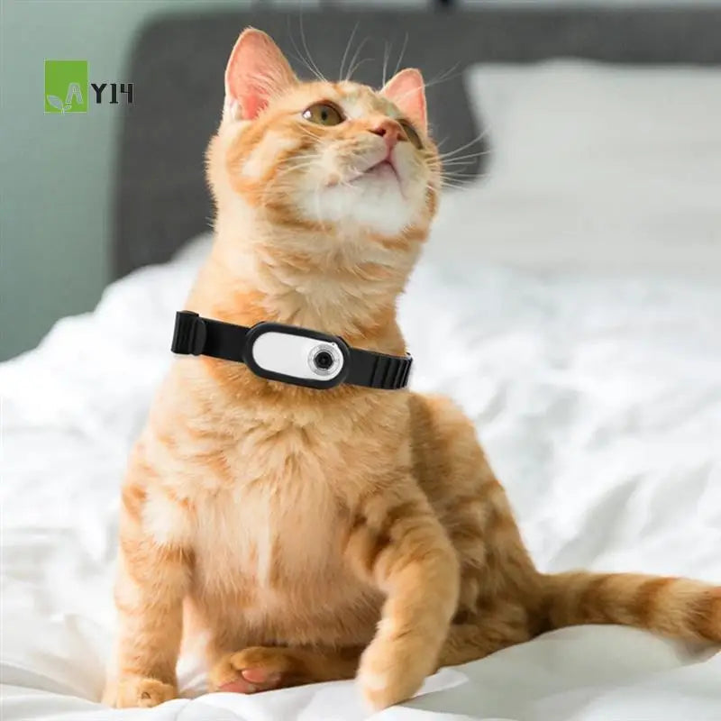 AY14 -1080P HD Wireless Collar Camera Cat Dog Pet Collar Camera Video Recorder Body Camera For Indoor/Outdoor With 32G Card