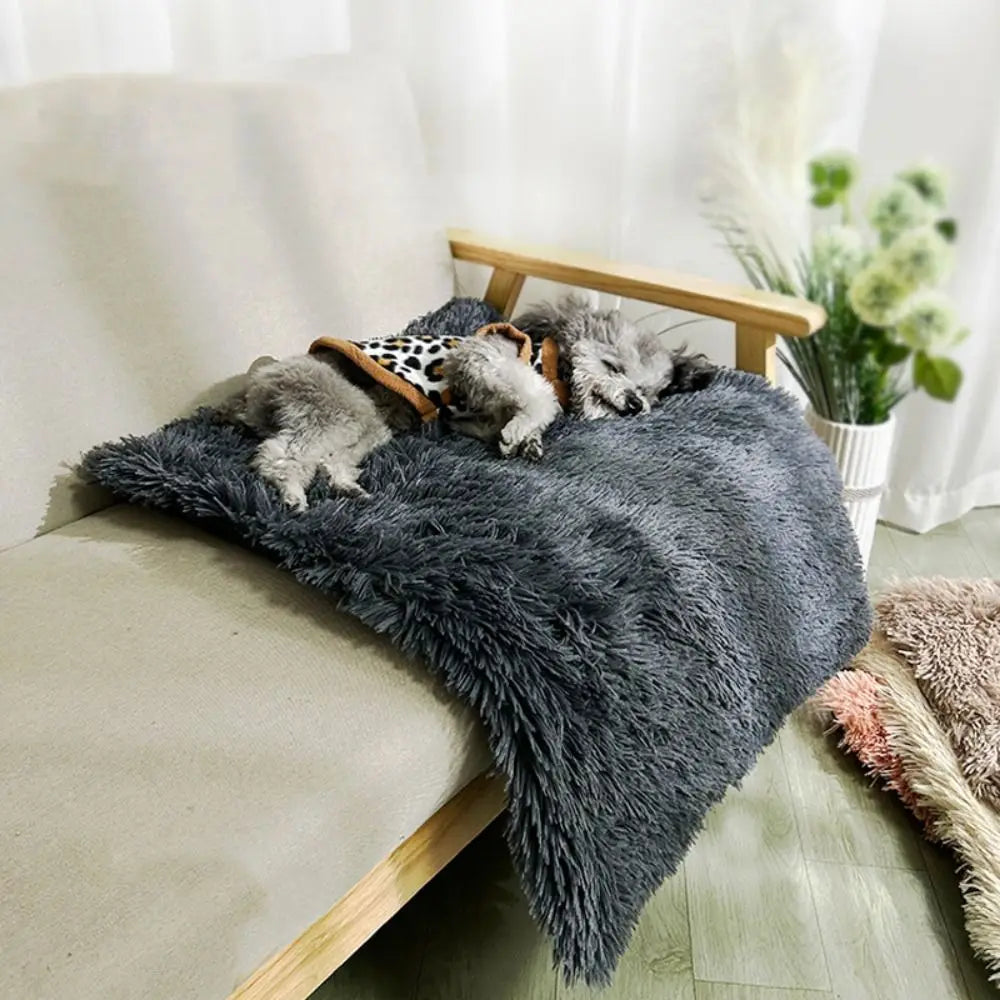 Pet Products Soft Dog Plush Winter Blanket Non-slip Velvet Warm Cat Blanket Waterproof Comfortable Puppy Sleep Mat Winter