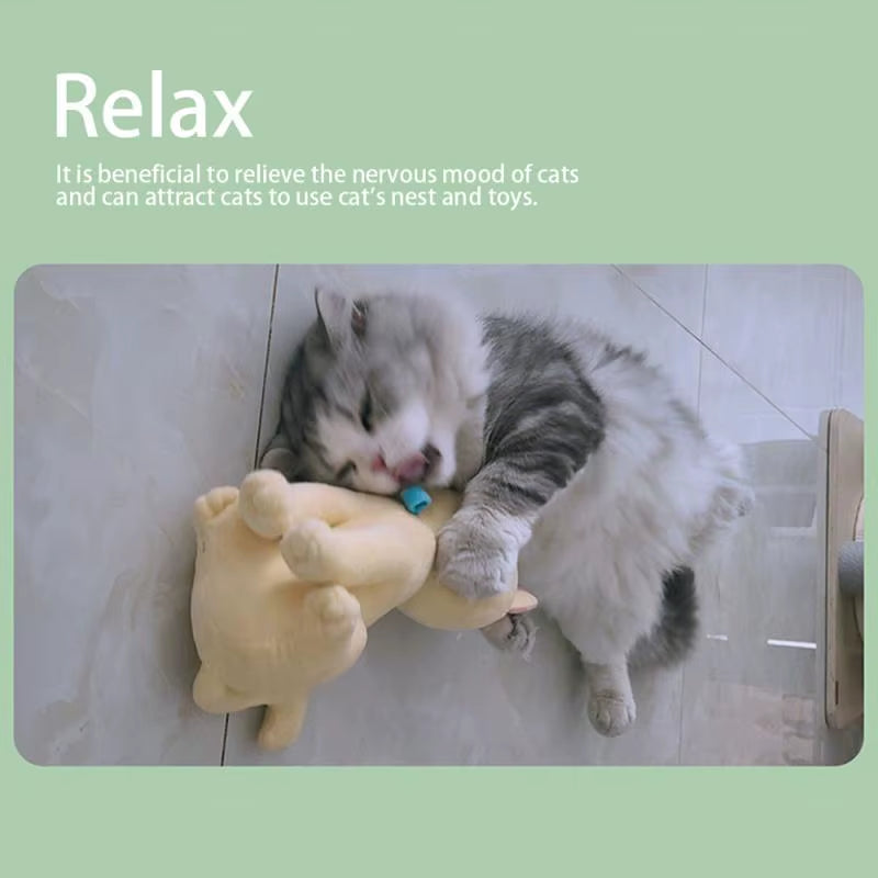 Catnip Bliss Spray – Natural Mood Booster for Happy, Relaxed Cats