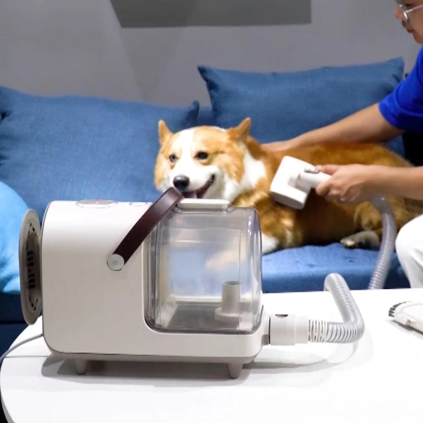 Silent Vacuum Cleaner Dog Hair Cat Hair Cut Brush Tool Pet Grooming Set Vacuum Cleaner