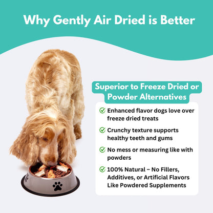 New Zealand Green Lipped Mussel Dog Treats-4