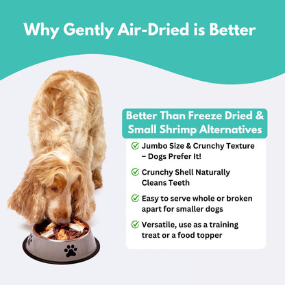 Wild-Caught Australian Jumbo Prawn Dog Treats-4