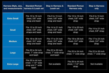 STEP IN BUNDLE - BRIGHT YELLOW (5 PIECES)-2