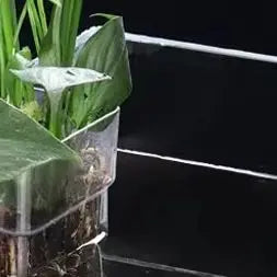 Multifunctional Fish Aquarium Water Grass Planting Cup Breeding Isolation Box Fish Tank Hydroponic Plants Fish Tank Landscaping
