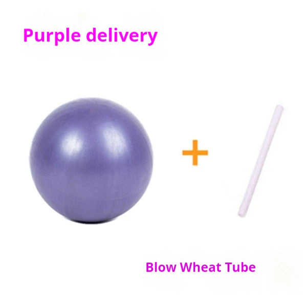 Pilates Yoga Ball Mai Pipe Ball PVC Explosion-proof matte 25cm Mini Ball Gymnastics Balance Fitness Hip Ball