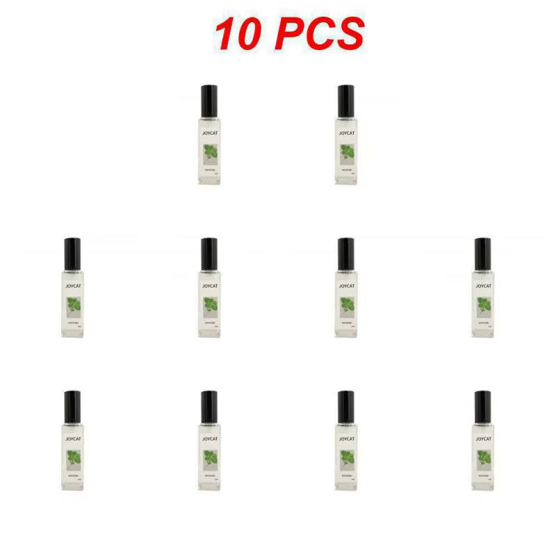 Catnip Bliss Spray – Natural Mood Booster for Happy, Relaxed Cats