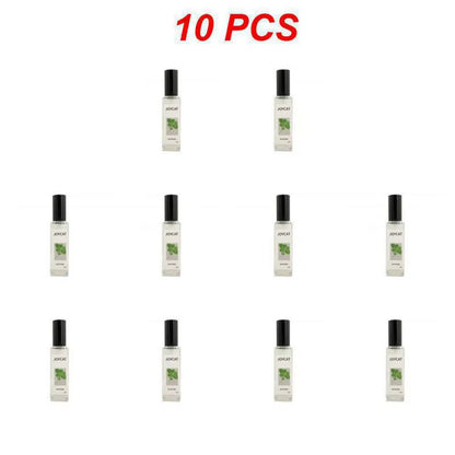 Catnip Bliss Spray – Natural Mood Booster for Happy, Relaxed Cats