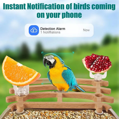 Solar Camera Bird Feeder House,Bird Watching Camera & AI Identify Bird Species,HD Bird Feeder Cam Capture