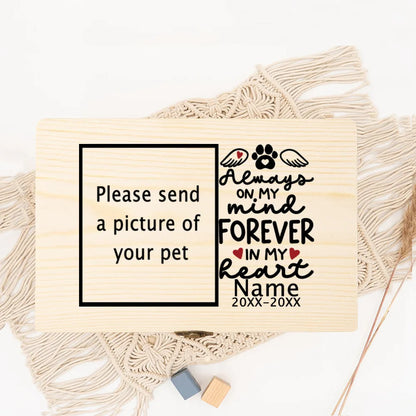 Personalized Pet Urn Customize Name and Date Dog Ashes Custom Funeral Box Pet Remains Wood Box Cremation Cat Ashes Urn Box