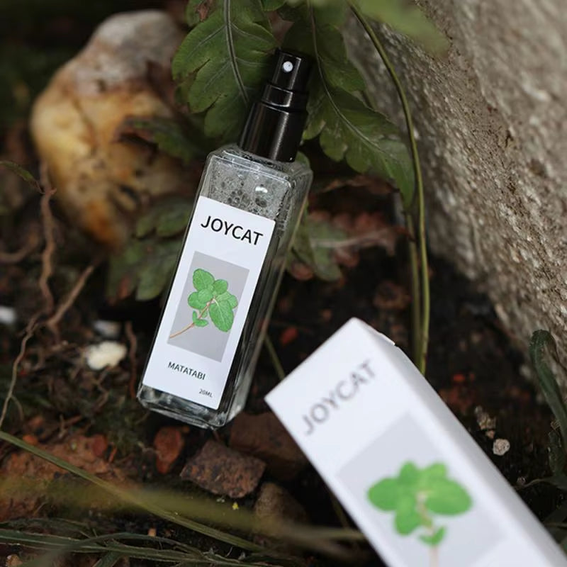 Catnip Bliss Spray – Natural Mood Booster for Happy, Relaxed Cats