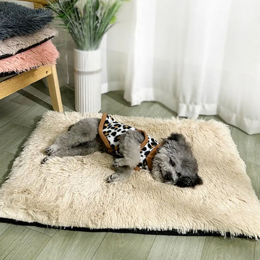 Pet Products Soft Dog Plush Winter Blanket Non-slip Velvet Warm Cat Blanket Waterproof Comfortable Puppy Sleep Mat Winter