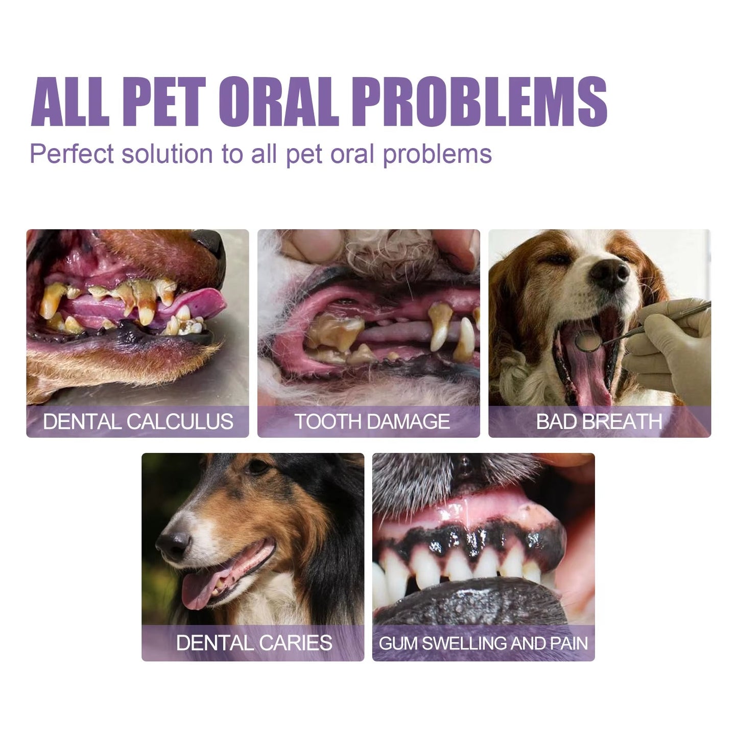 FreshPaws™ Pet Oral Repair Gel – The Ultimate Smile Saver for Cats & Dogs