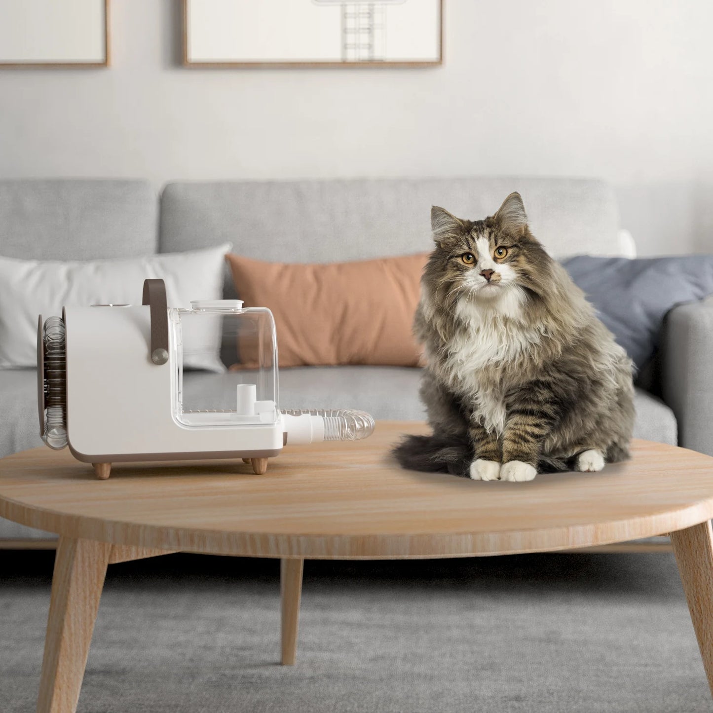 Silent Vacuum Cleaner Dog Hair Cat Hair Cut Brush Tool Pet Grooming Set Vacuum Cleaner