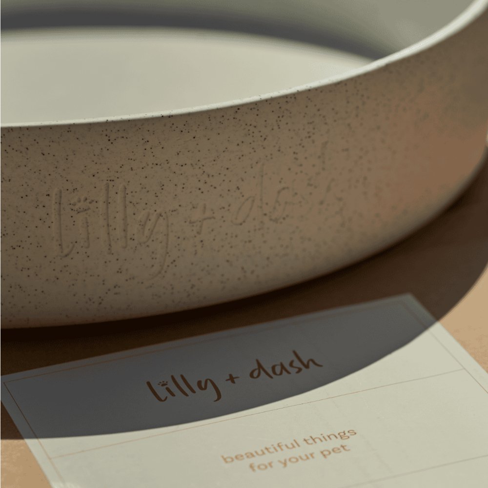 outdoor water bowls-3