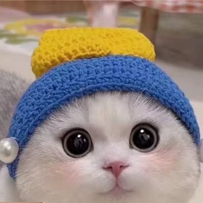Cute Refined Cat Hat Elastic Autumn Winter Pet Hat Puppy Kittens Knitted Hat Party Photo Shoot Props Decoration Cat Accessories